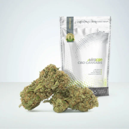 TEAZ Gen-1 – CBD Buds